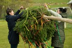 DSC_9928_upn.jpg