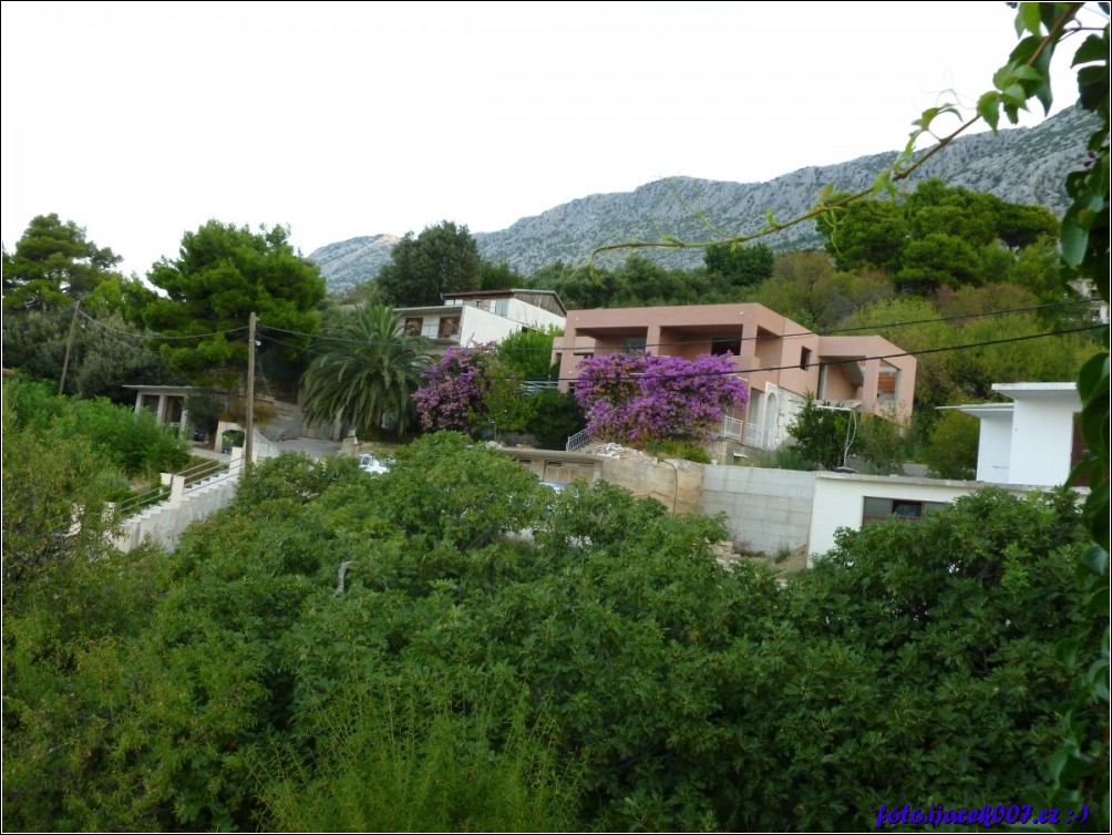 Klikněte pro zobrazení původního obrázku