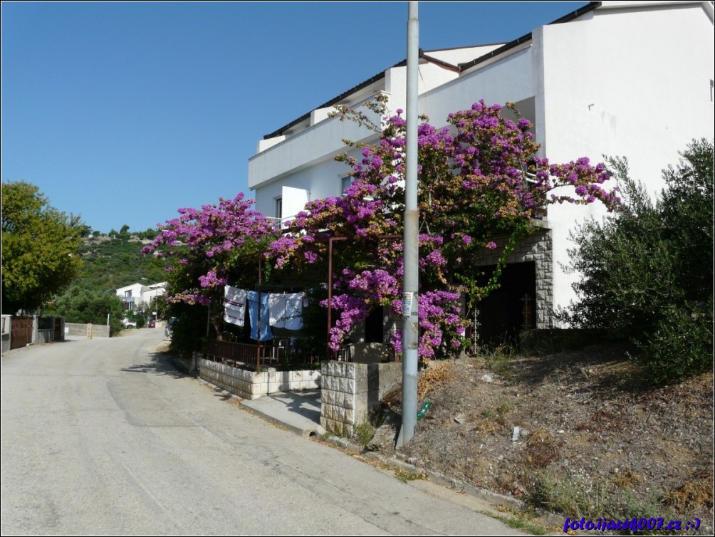 Klikněte pro zobrazení původního obrázku