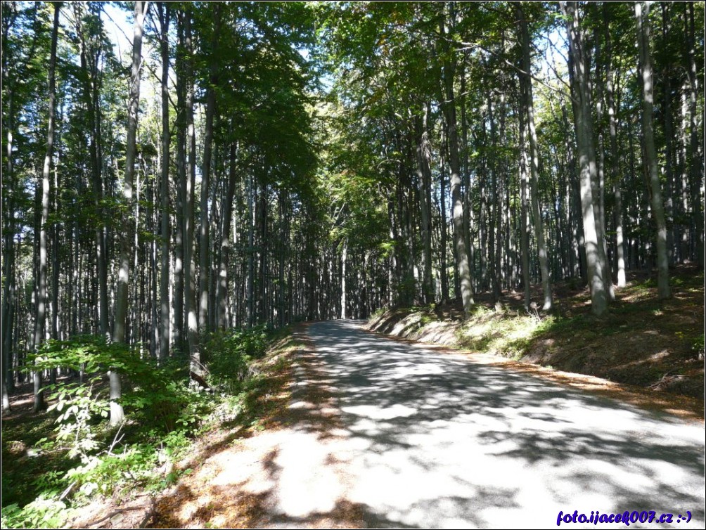 Klikněte pro zobrazení původního obrázku