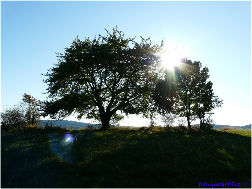Klikněte pro zobrazení původního obrázku