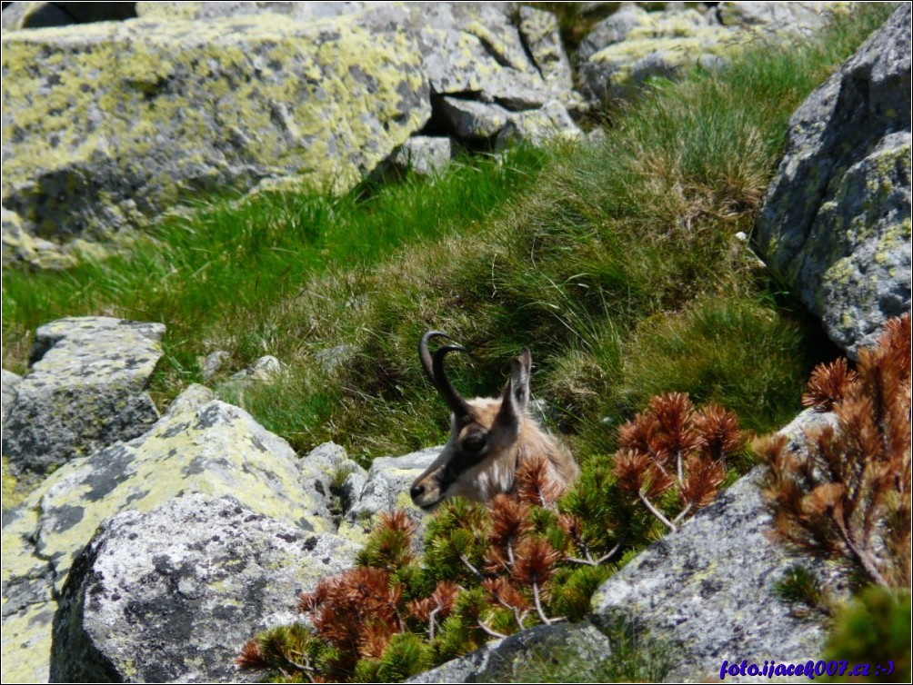 Klikněte pro zobrazení původního obrázku