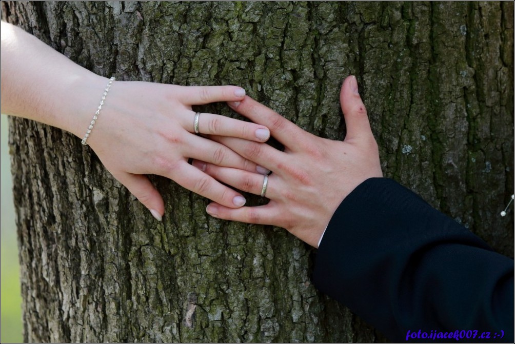 Klikněte pro zobrazení původního obrázku