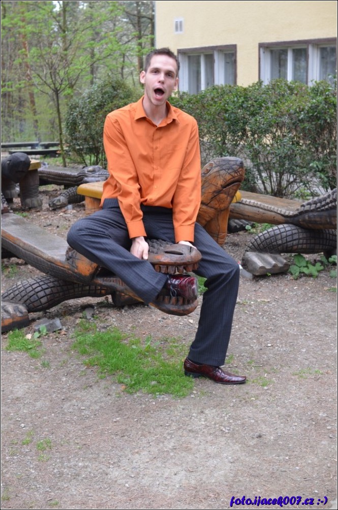 Klikněte pro zobrazení původního obrázku