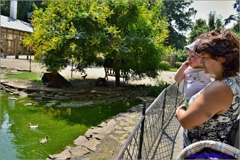 Klikněte pro zobrazení původního obrázku