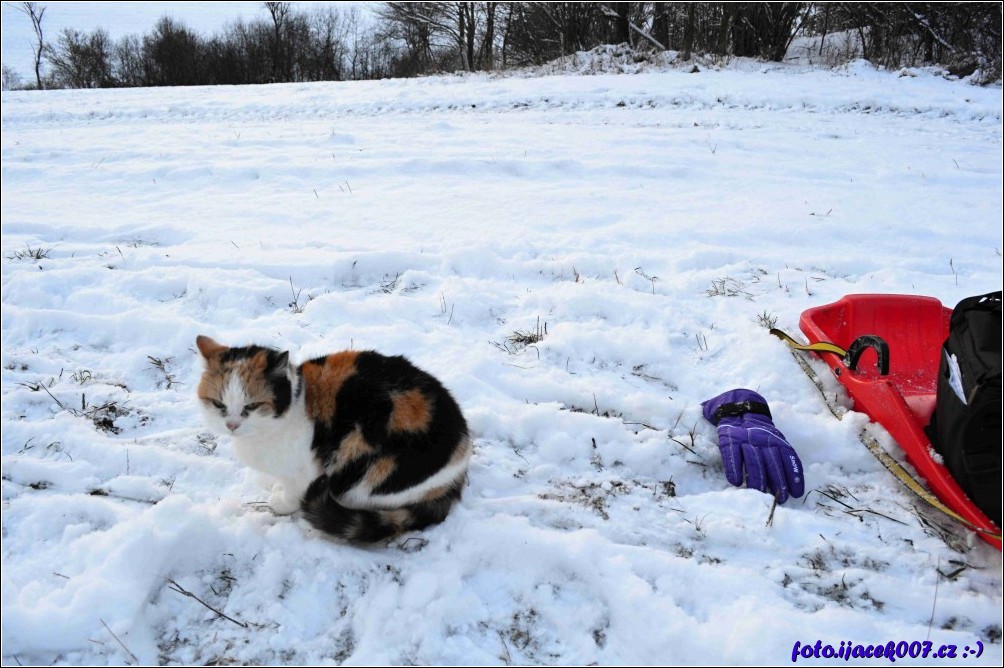 Klikněte pro zobrazení původního obrázku