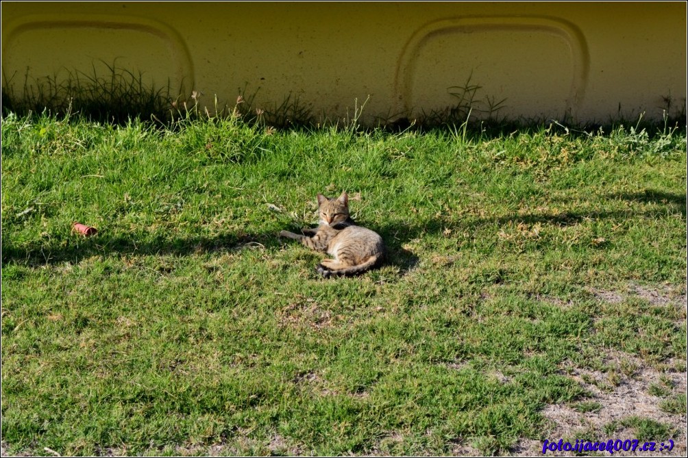 Klikněte pro zobrazení původního obrázku