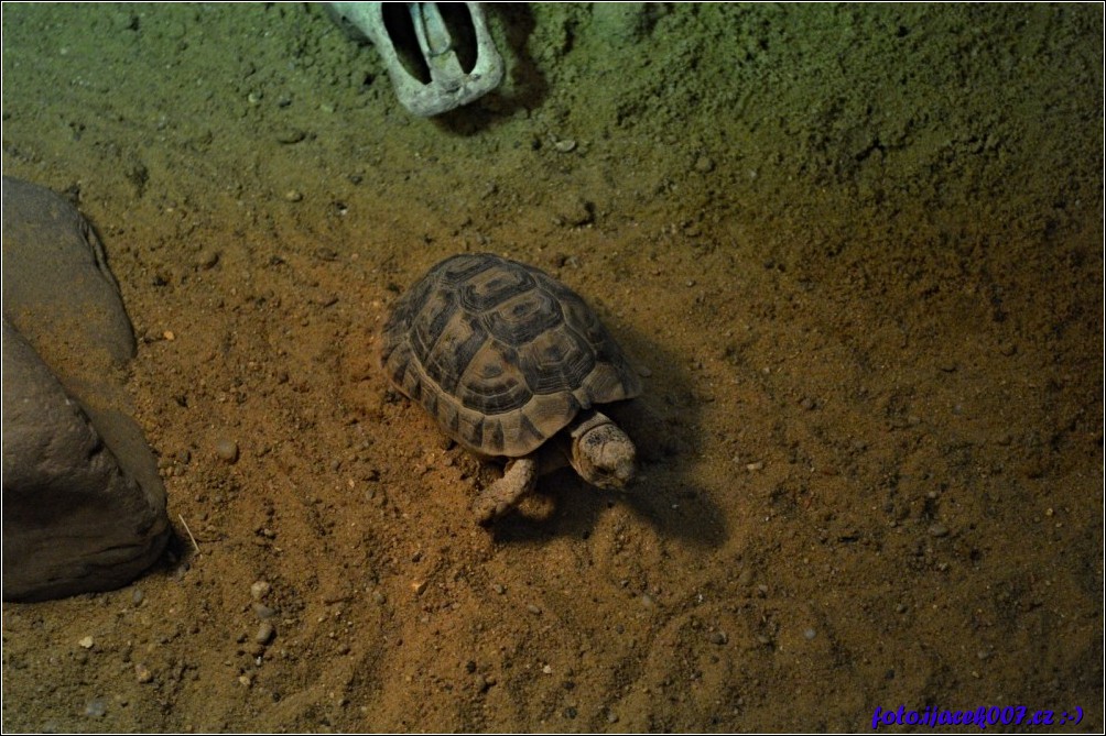 Klikněte pro zobrazení původního obrázku