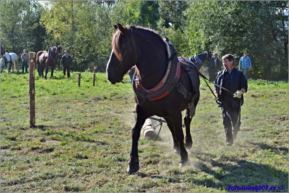 Klikněte pro zobrazení původního obrázku