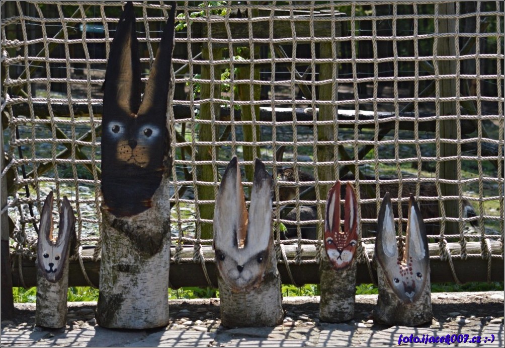 Klikněte pro zobrazení původního obrázku