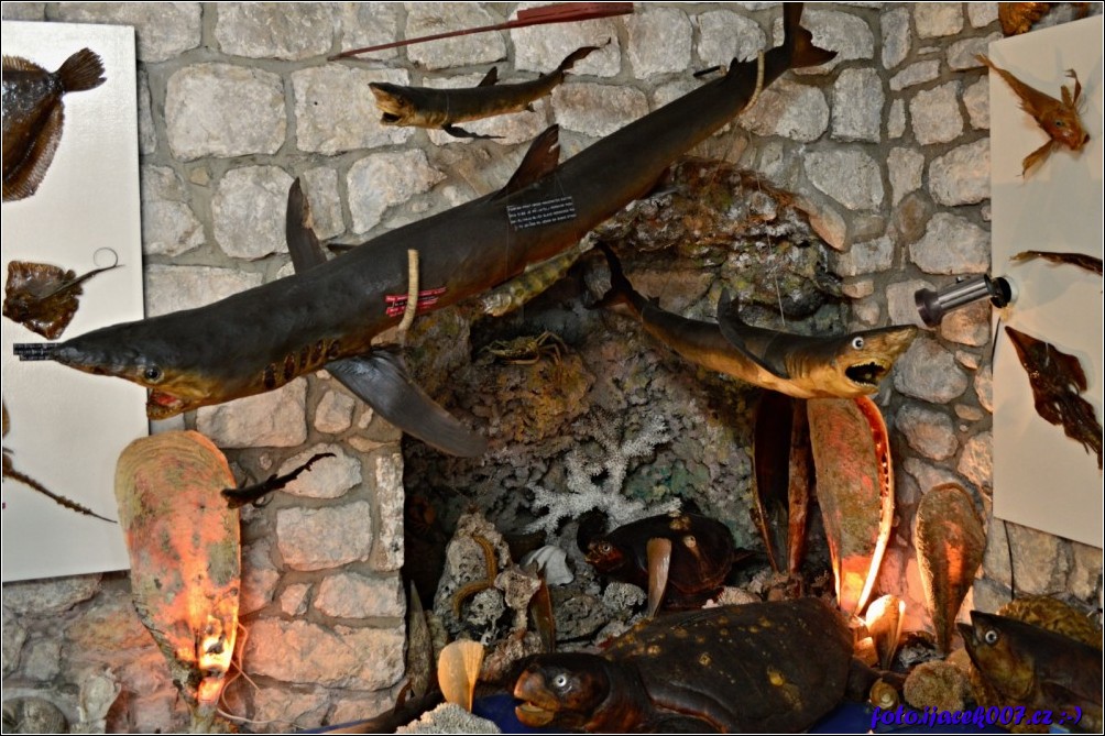 Klikněte pro zobrazení původního obrázku