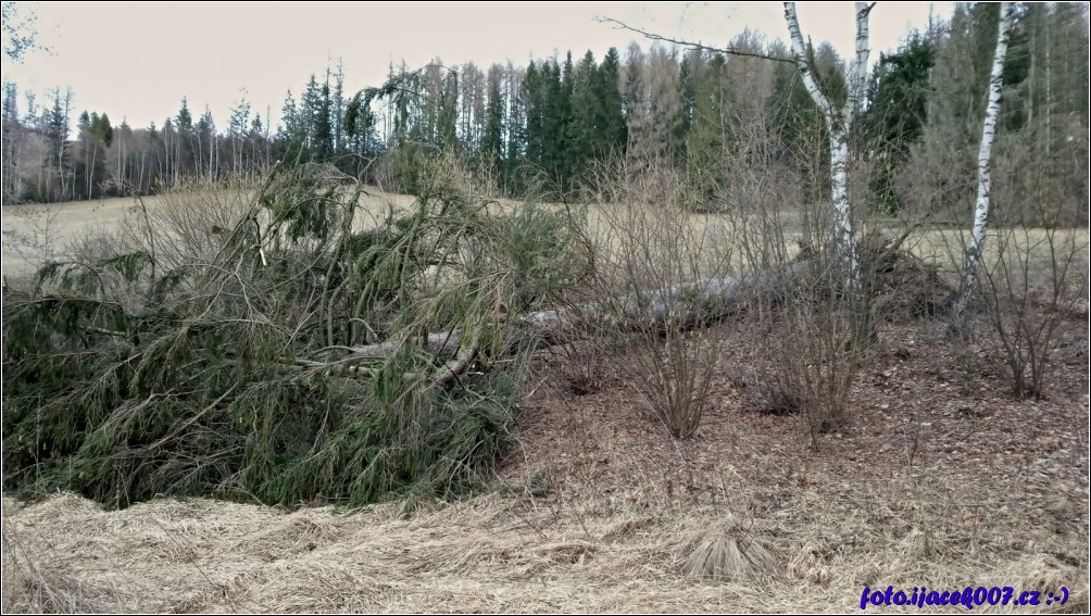 Klikněte pro zobrazení původního obrázku