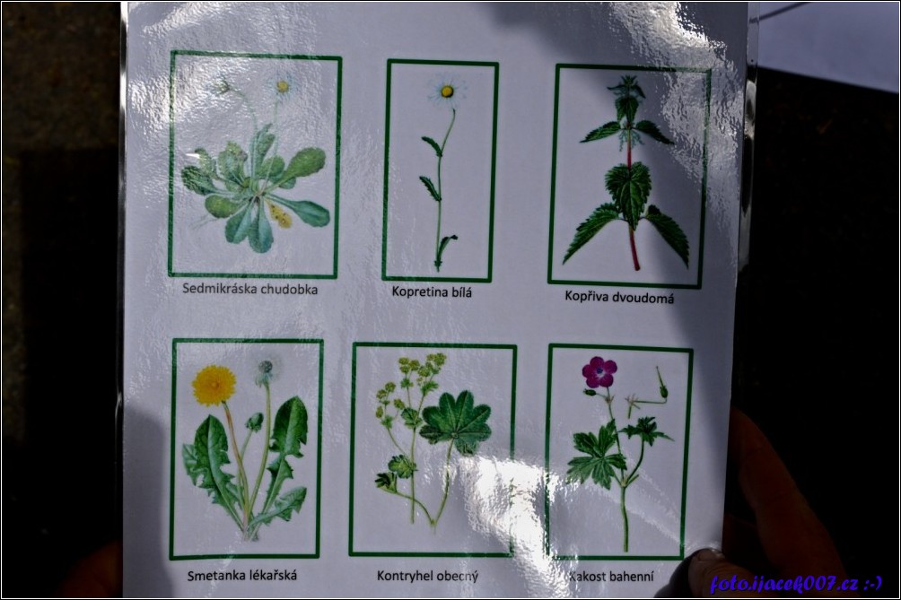 Klikněte pro zobrazení původního obrázku