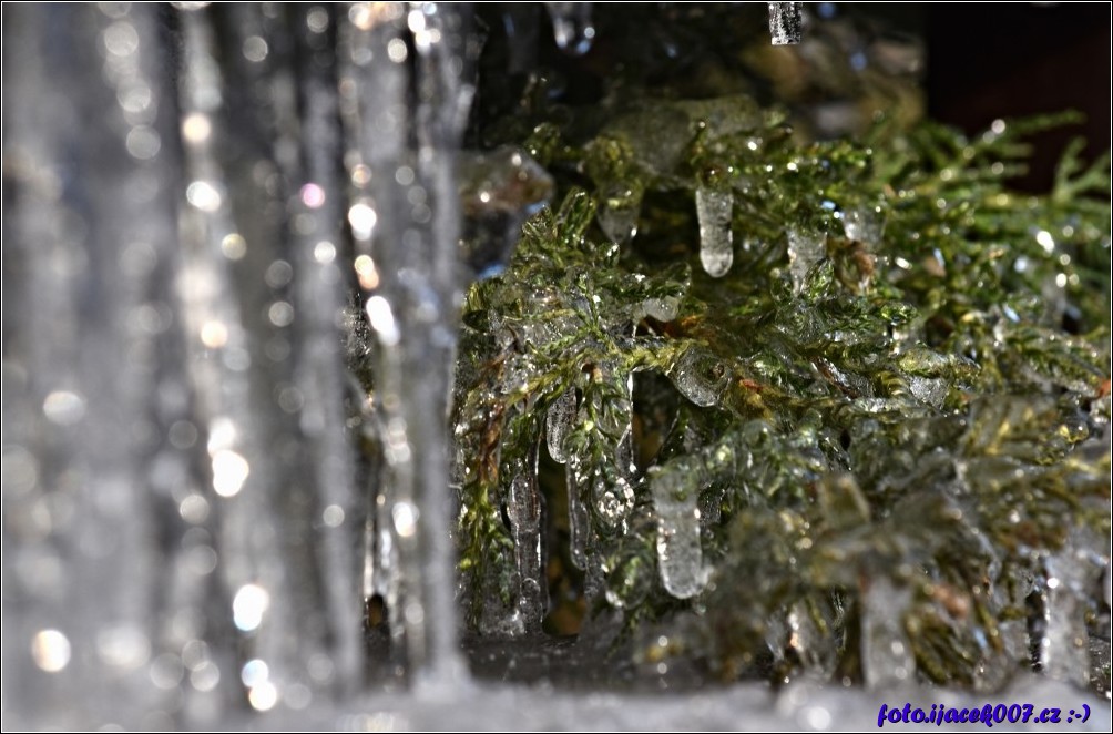 Klikněte pro zobrazení původního obrázku