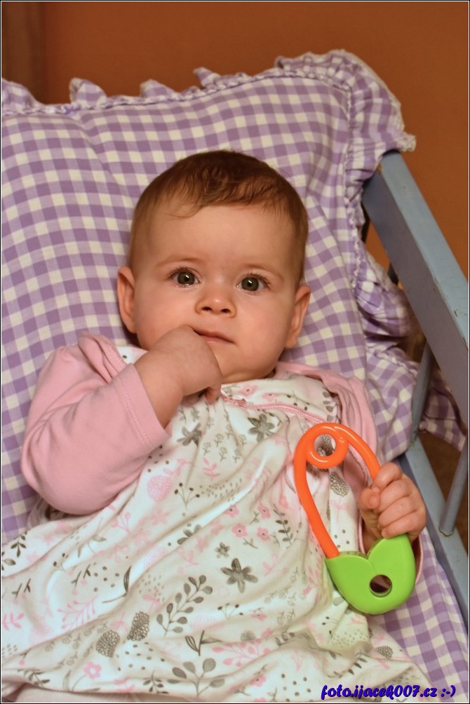 Klikněte pro zobrazení původního obrázku