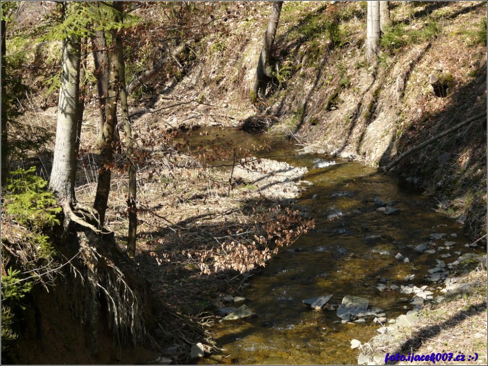 Klikněte pro zobrazení původního obrázku