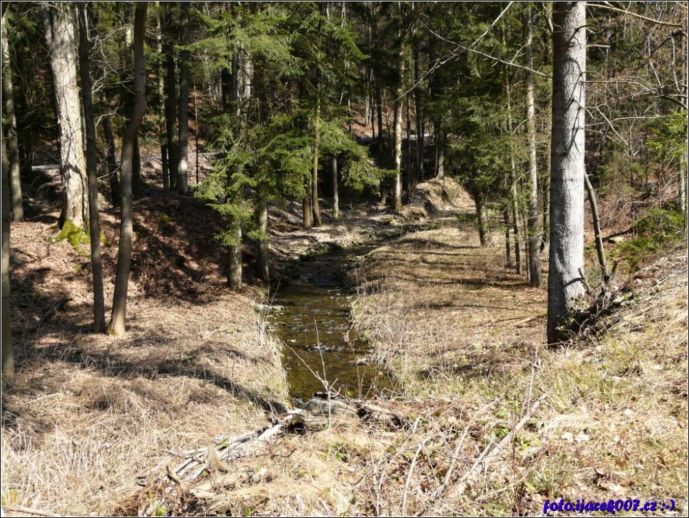 Klikněte pro zobrazení původního obrázku