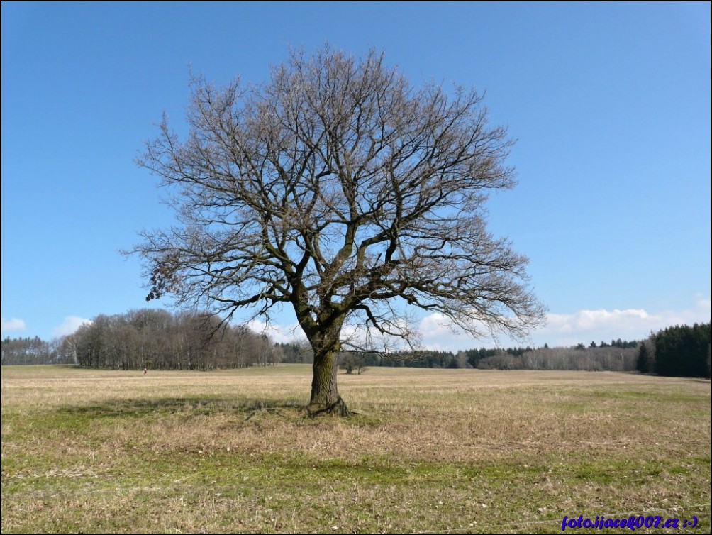 Klikněte pro zobrazení původního obrázku