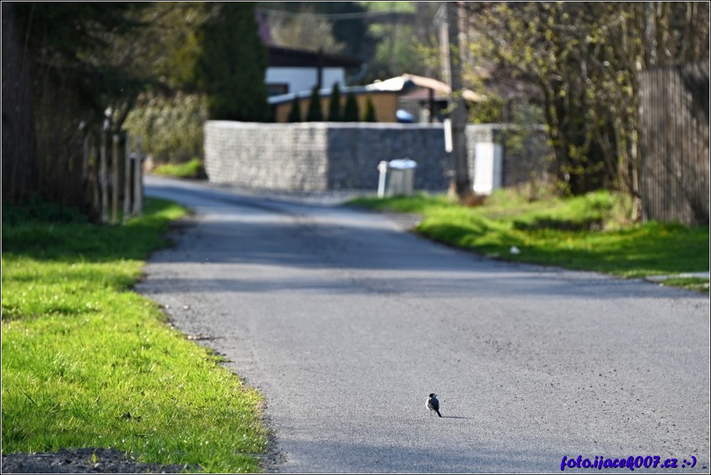Klikněte pro zobrazení původního obrázku