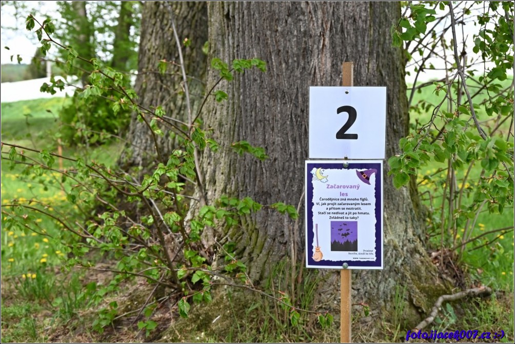 Klikněte pro zobrazení původního obrázku