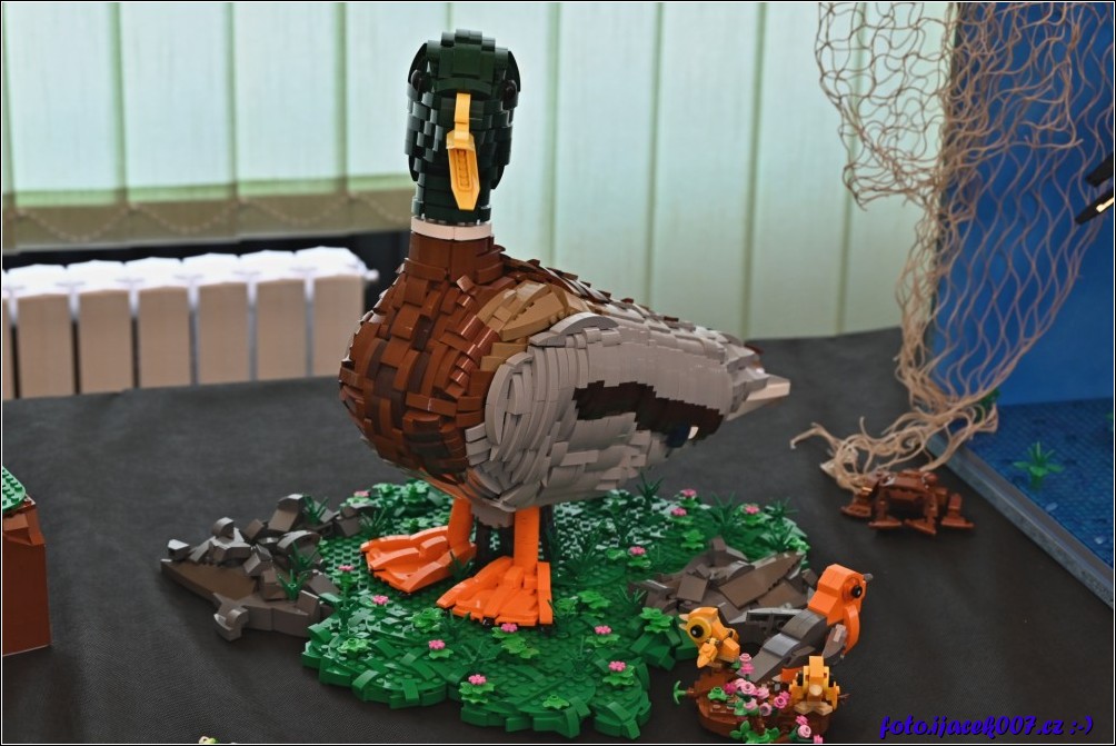 Klikněte pro zobrazení původního obrázku