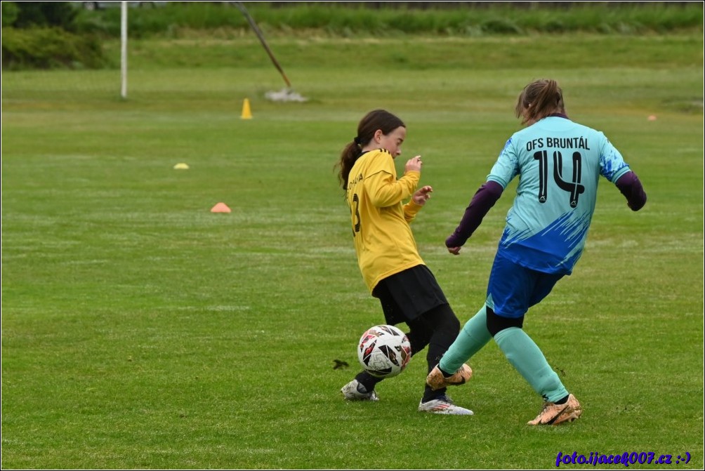 Klikněte pro zobrazení původního obrázku