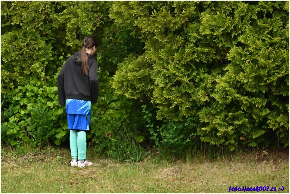 Klikněte pro zobrazení původního obrázku