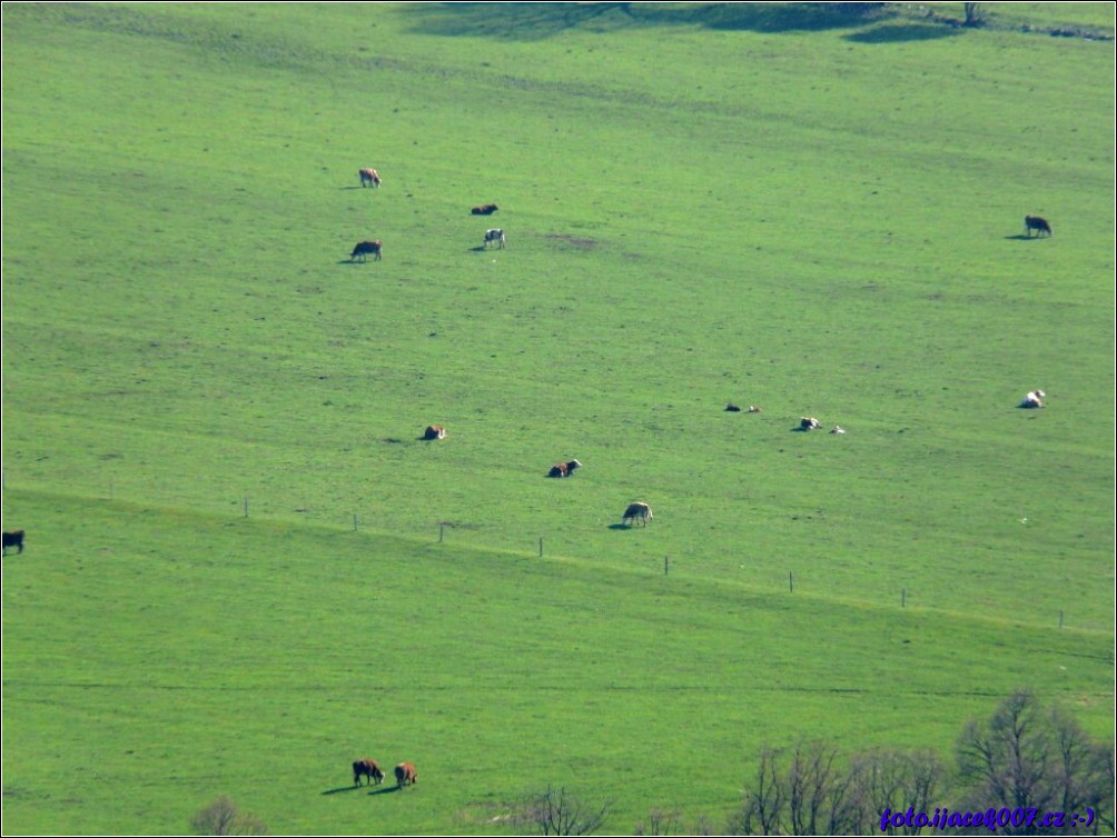 Klikněte pro zobrazení původního obrázku