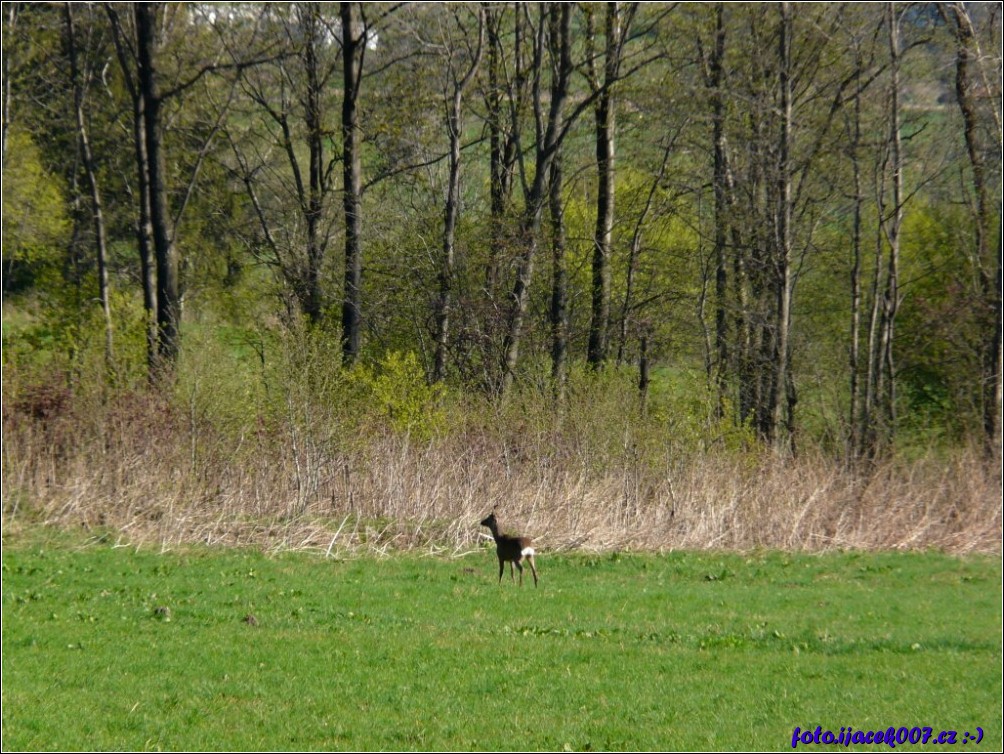 Klikněte pro zobrazení původního obrázku