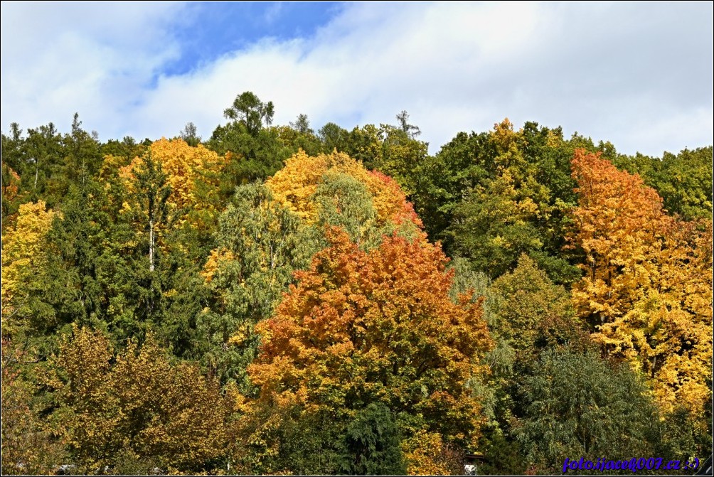 Klikněte pro zobrazení původního obrázku