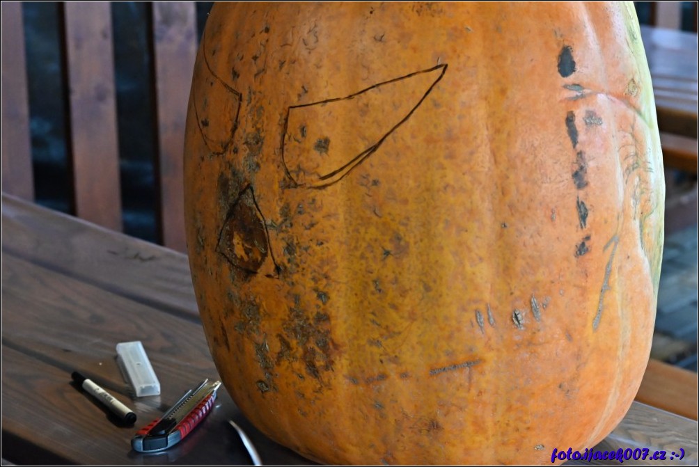 Klikněte pro zobrazení původního obrázku