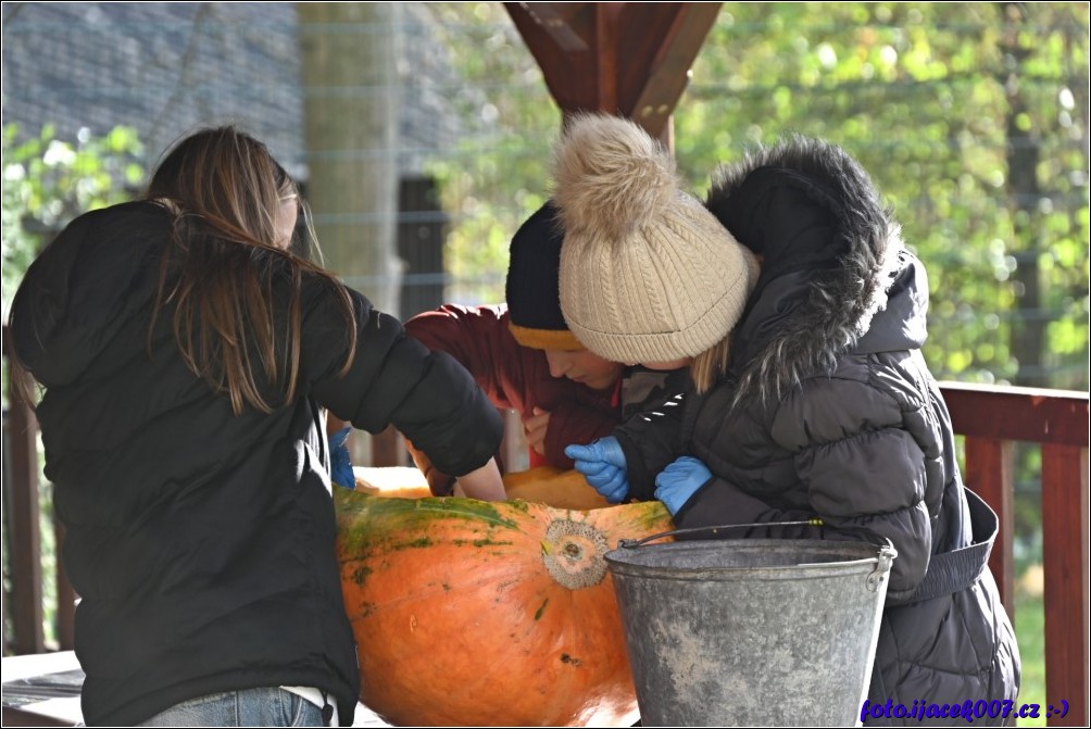 Klikněte pro zobrazení původního obrázku