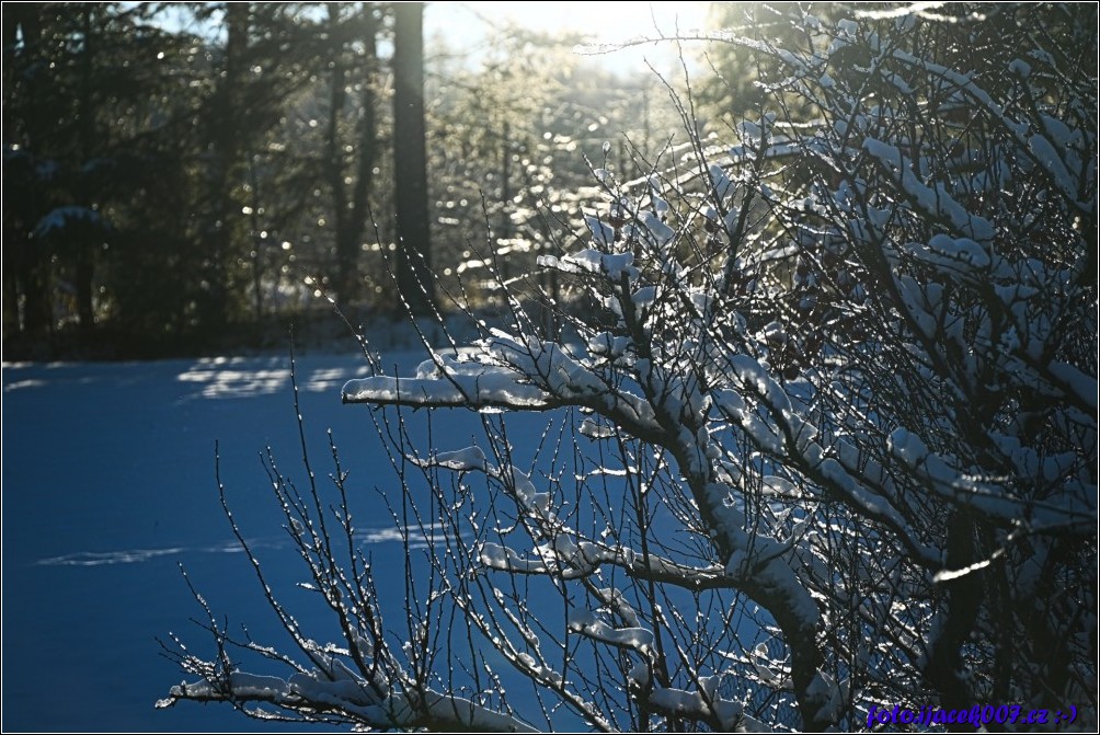 Klikněte pro zobrazení původního obrázku