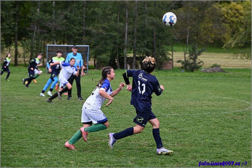 Klikněte pro zobrazení původního obrázku