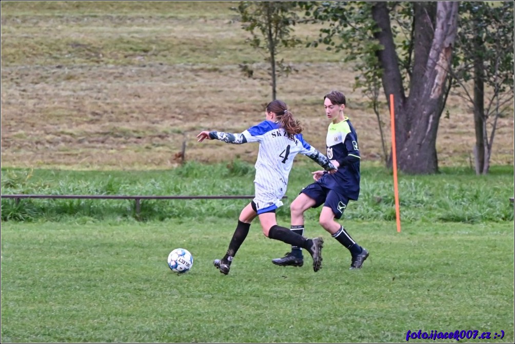 Klikněte pro zobrazení původního obrázku