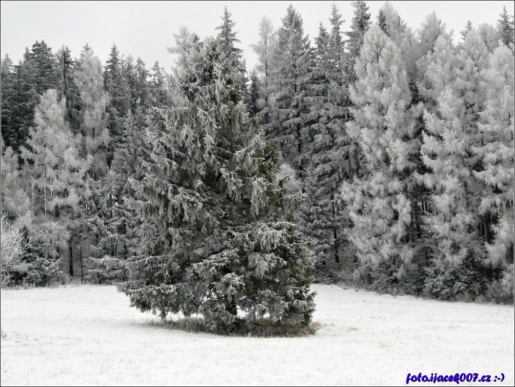 Klikněte pro zobrazení původního obrázku