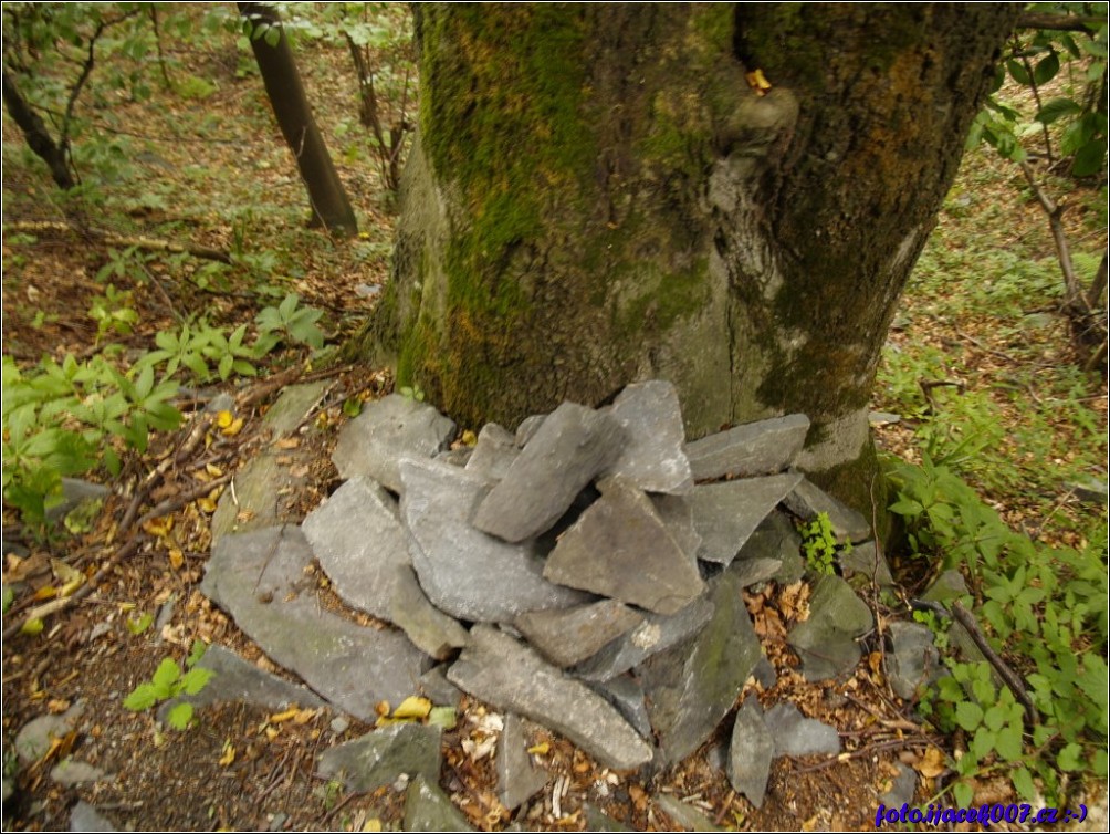 Klikněte pro zobrazení původního obrázku