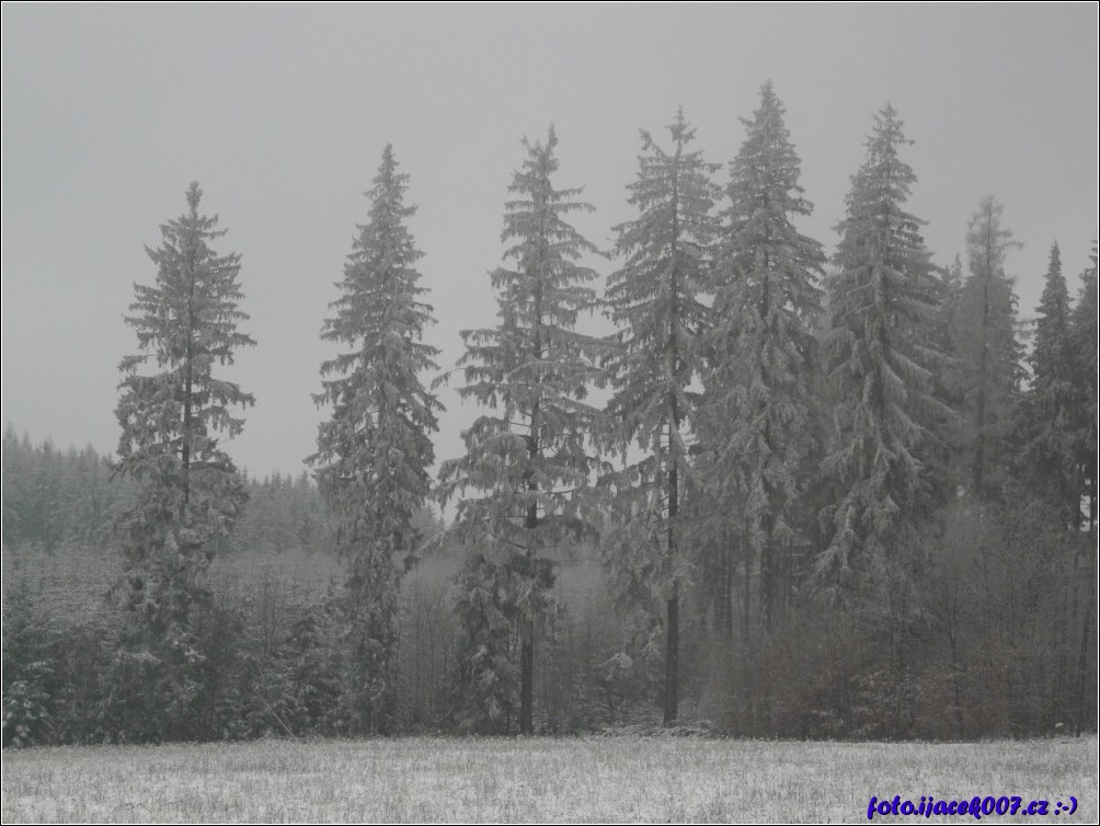 Klikněte pro zobrazení původního obrázku