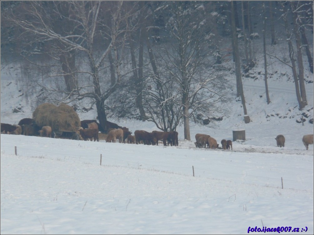 Klikněte pro zobrazení původního obrázku