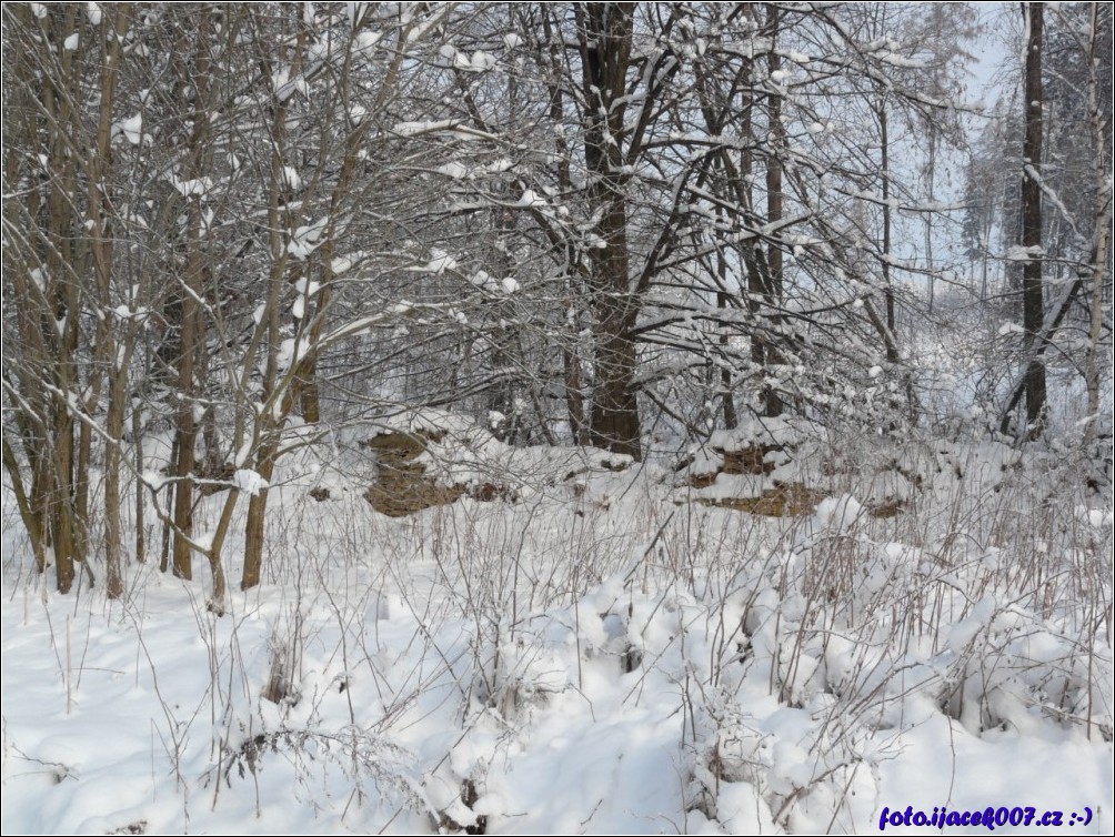 Klikněte pro zobrazení původního obrázku
