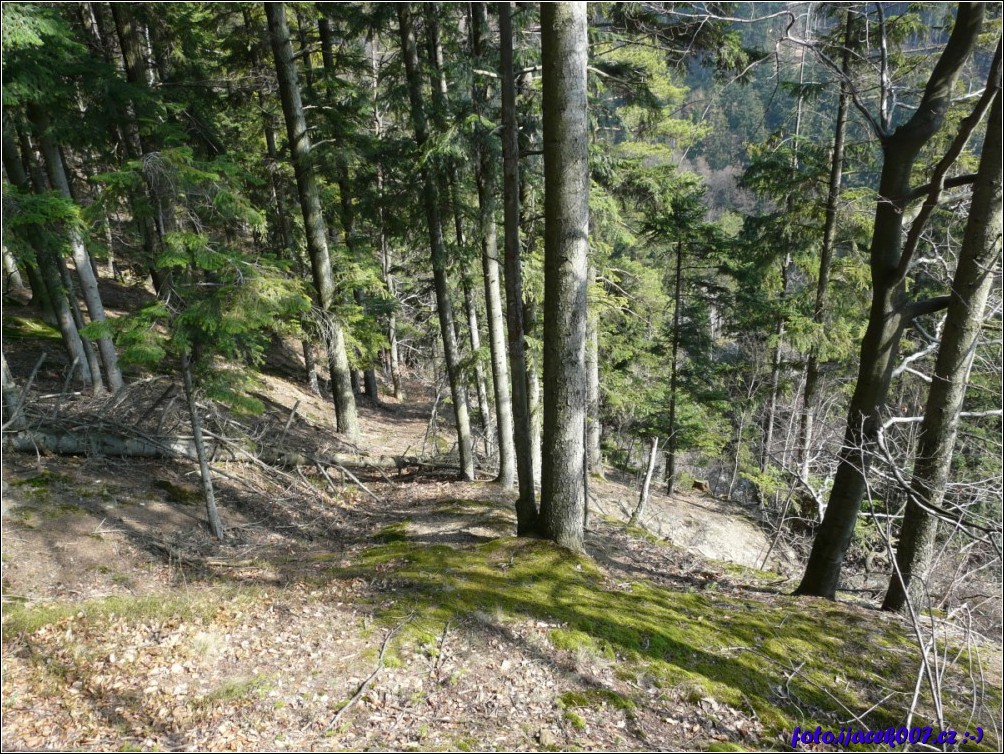 Klikněte pro zobrazení původního obrázku