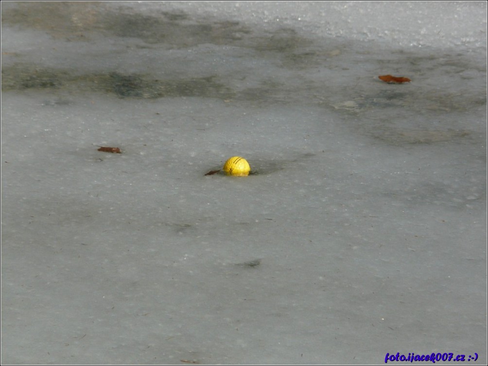 Klikněte pro zobrazení původního obrázku