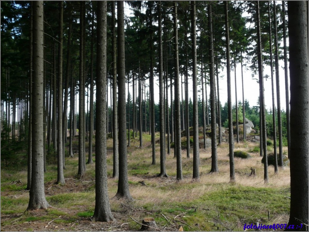 Klikněte pro zobrazení původního obrázku