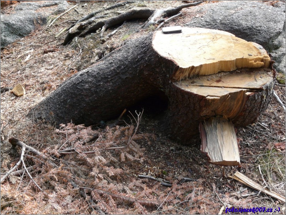 Klikněte pro zobrazení původního obrázku