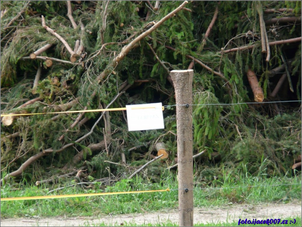 Klikněte pro zobrazení původního obrázku