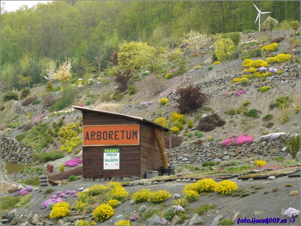 Klikněte pro zobrazení původního obrázku