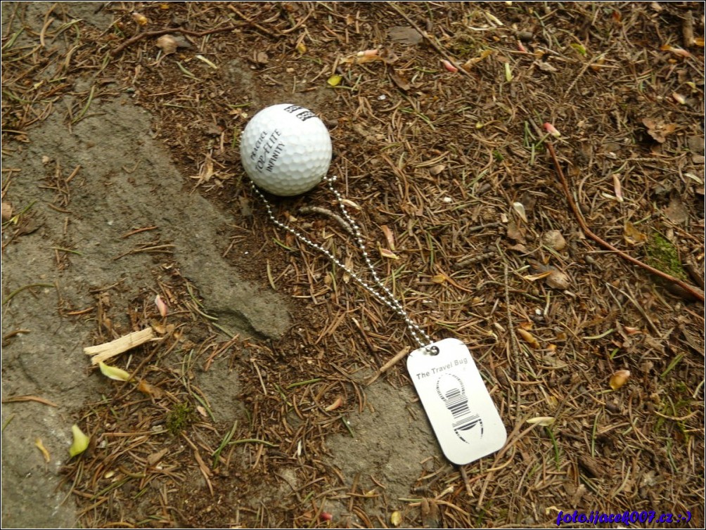 Klikněte pro zobrazení původního obrázku